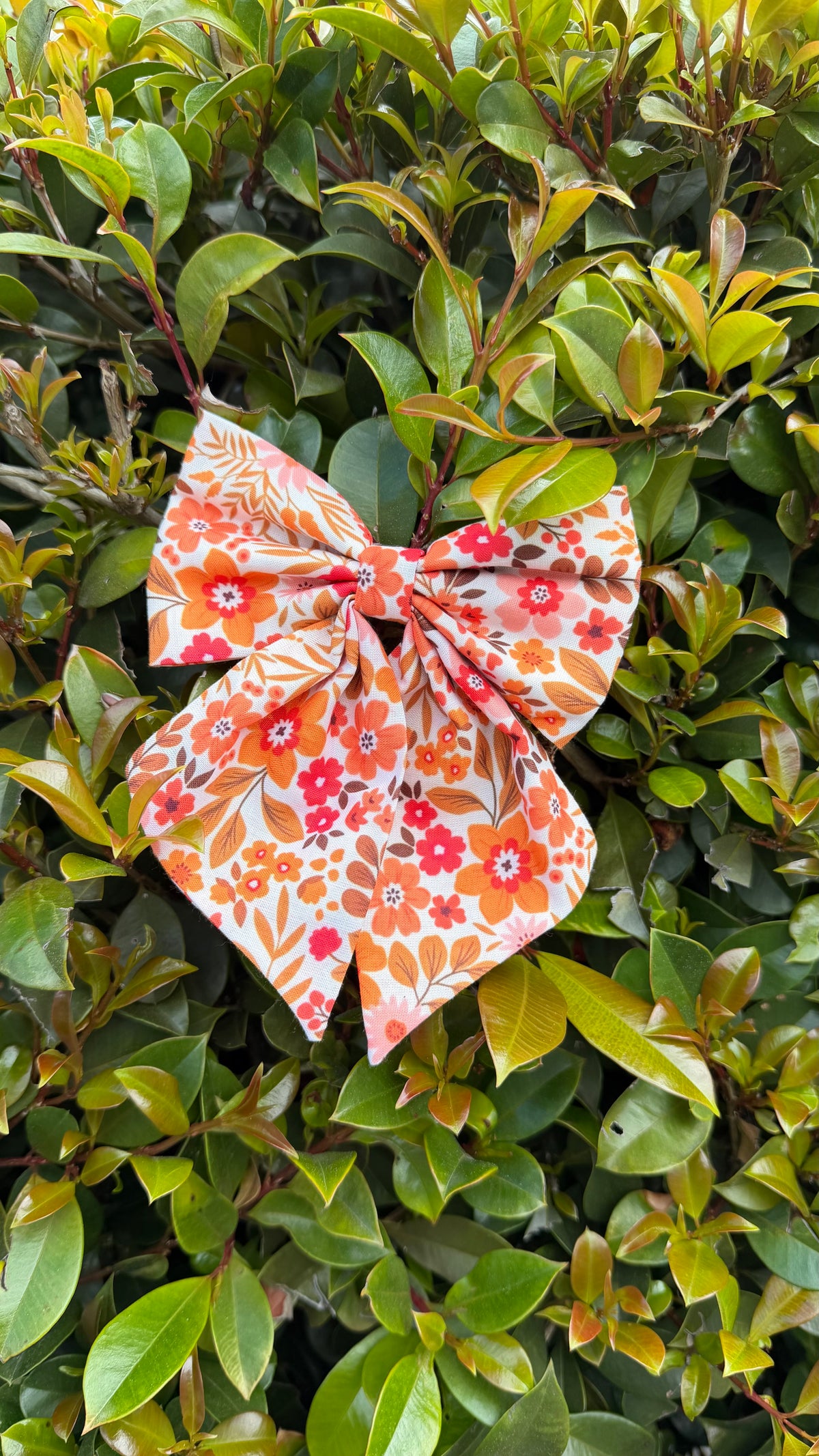 Marigold Days | Retro Floral Classic Bow